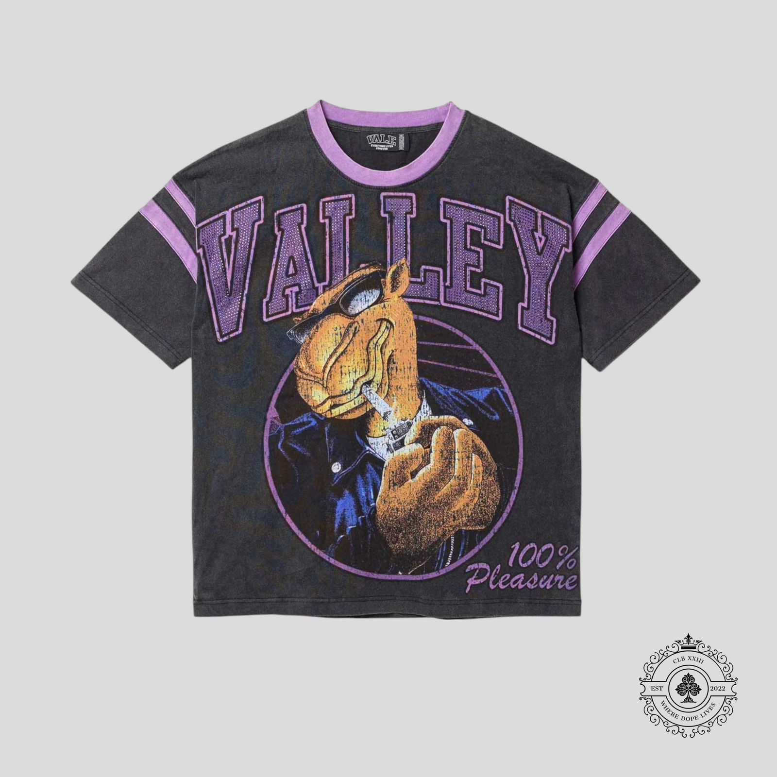 Vale Purple Camel Bling Tee in Black
