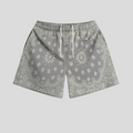 CLB XXIII Bravest Studios grey mesh shorts featuring a detailed white paisley bandana print and elastic waistband