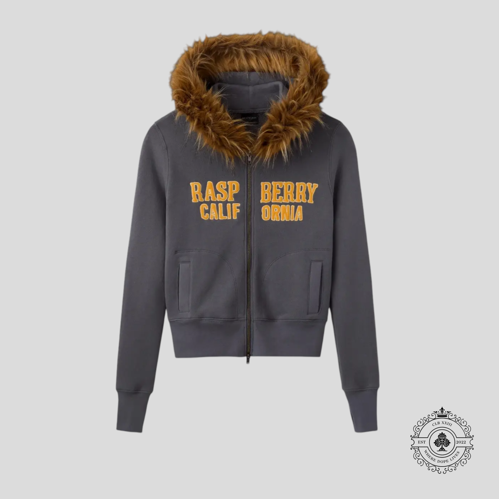 GV Gallery Raspberry Hills Paris Hilton Hoodie in Grey