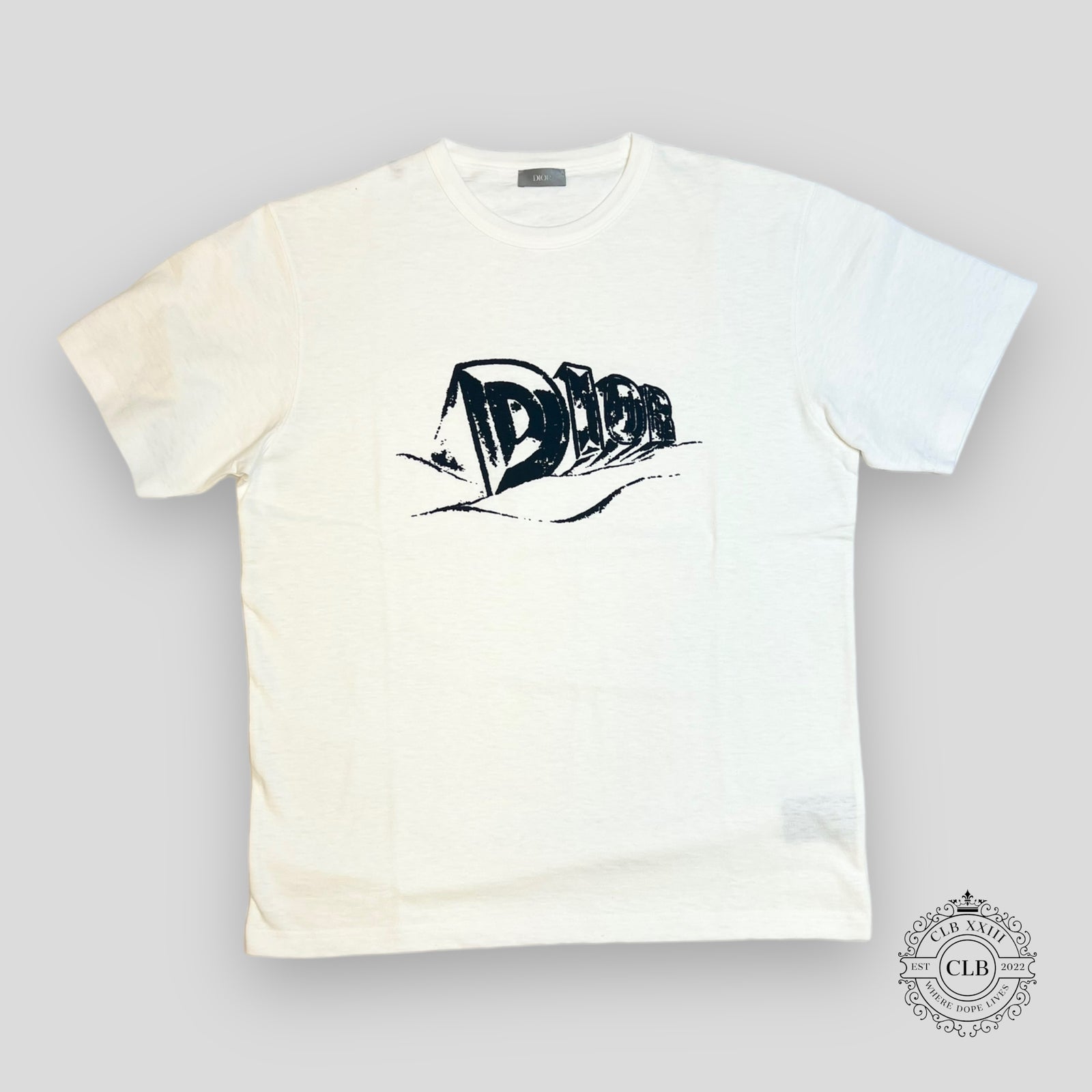 Dior Velour Logo T-Shirt in White