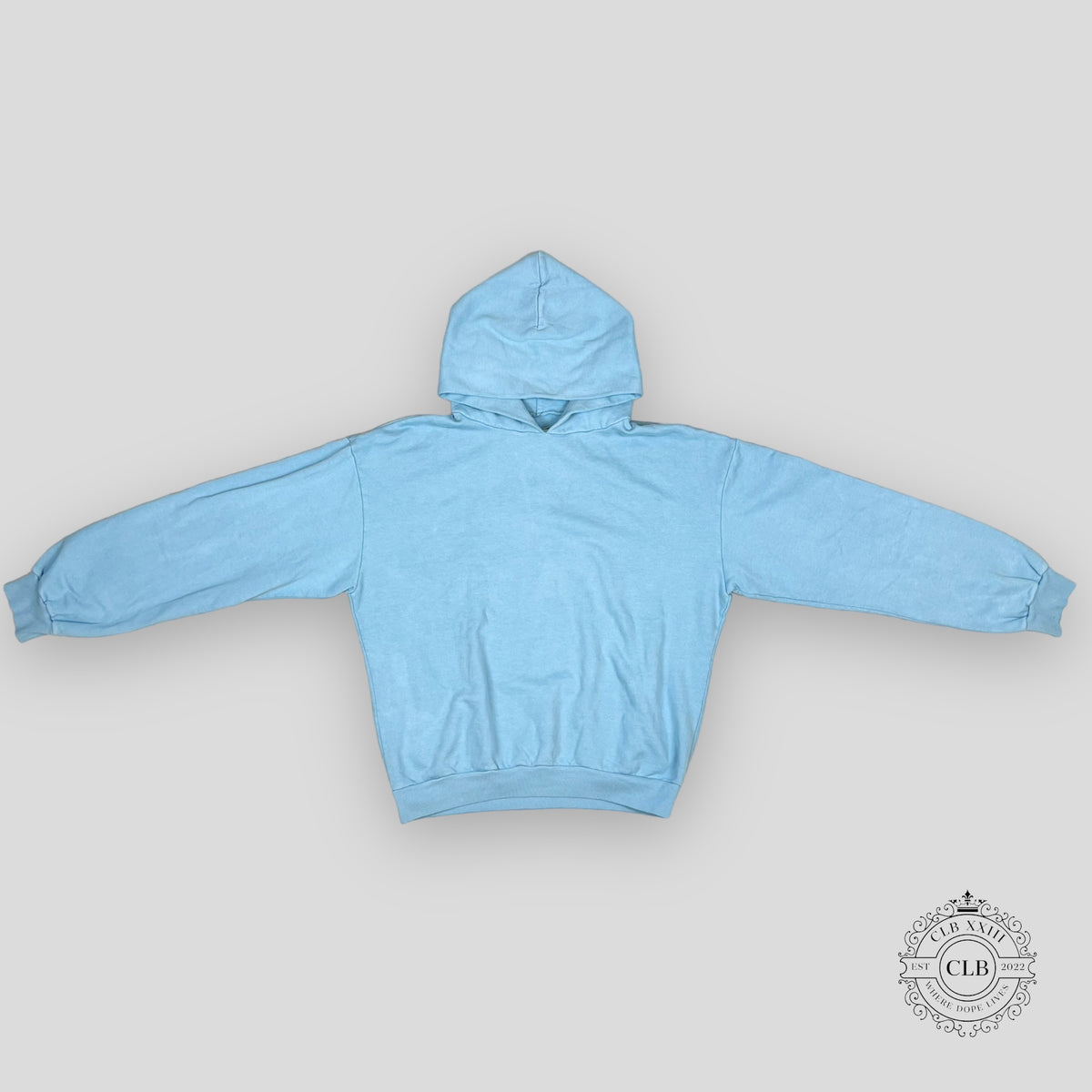 KANYE WEST & DRAKE FREE HOOVER HOODIE- LIGHT BLUE