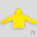 Dior CD Icon Hoodie in Yellow