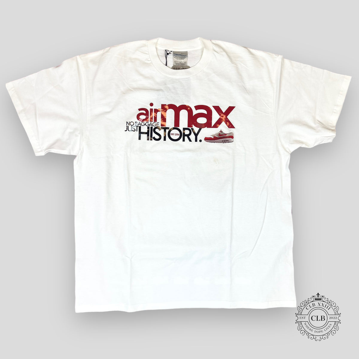Nike Air Max No Baggage Just History T-shirt in White