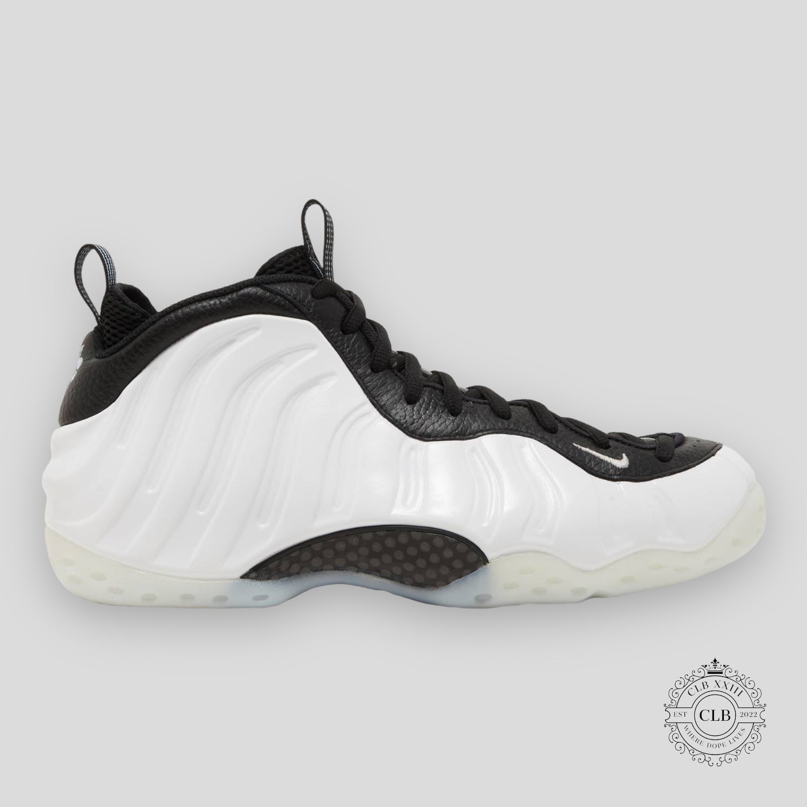 Nike Air Foamposite One Penny PE