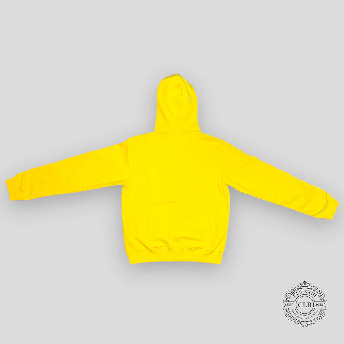 Dior CD Icon Hoodie in Yellow