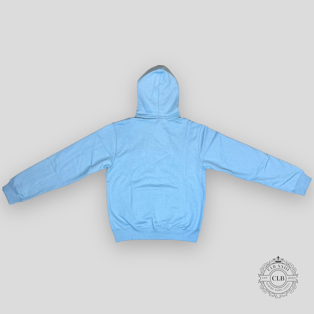 Dior CD Hoodie in Blue