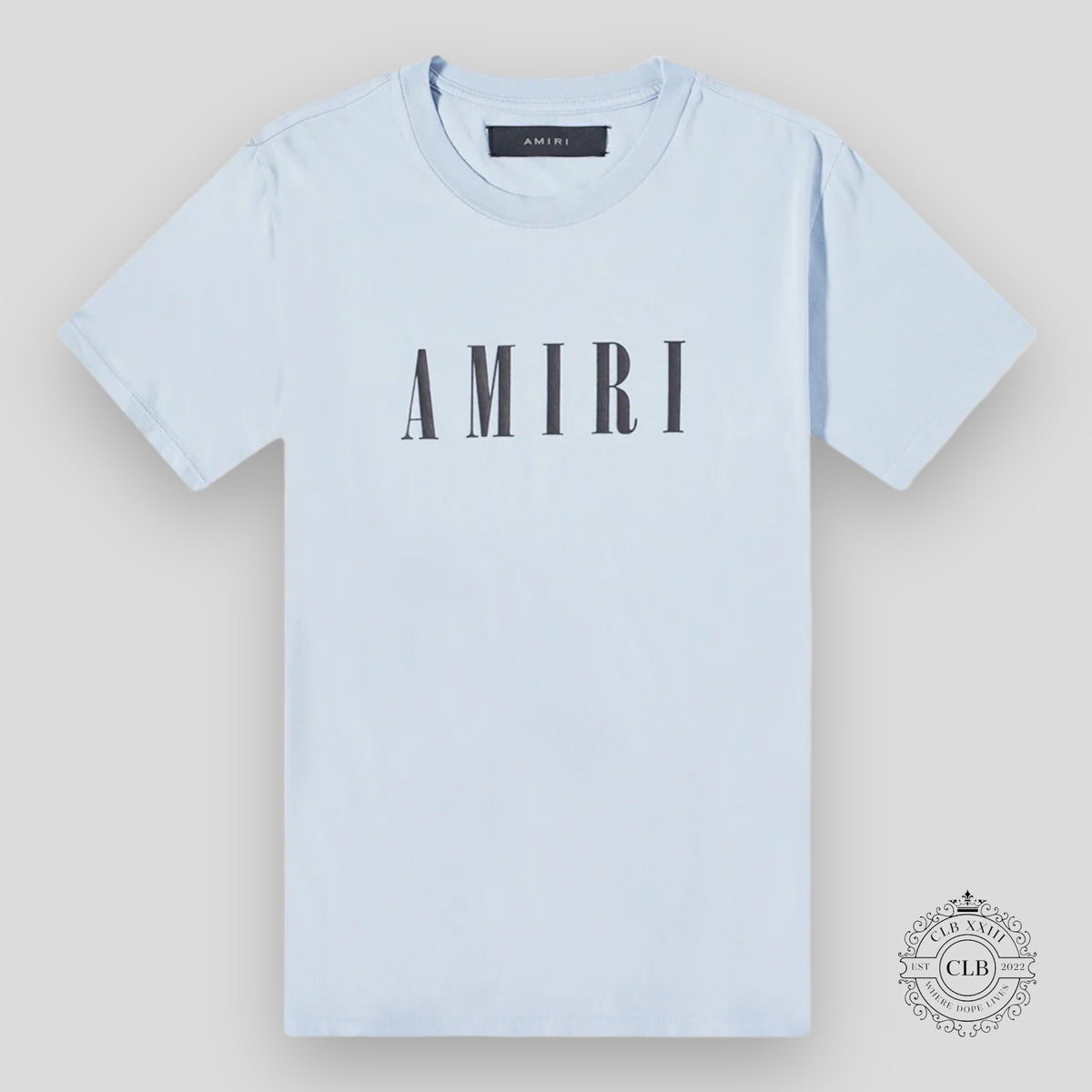 Amiri Core Logo Tee in Dusty Blue