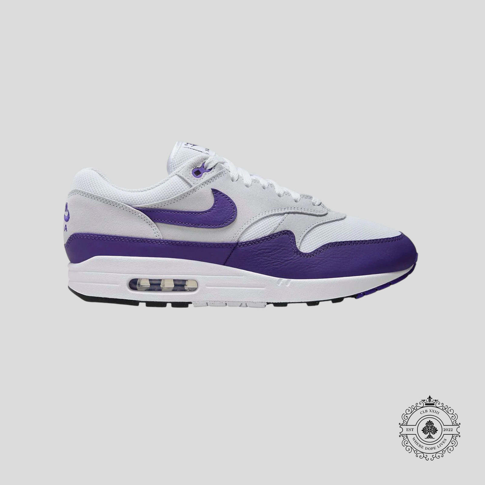 Nike Air Max 1 SC Field Purple