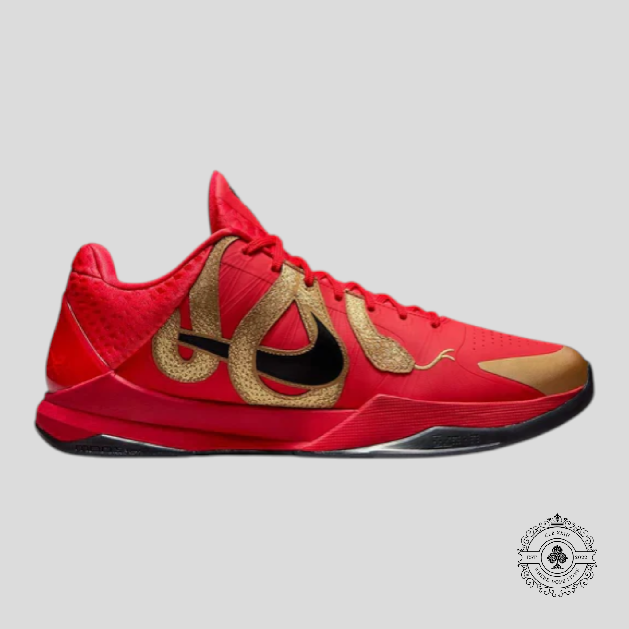 Nike Kobe 5 Protro Year of the Mamba University Red