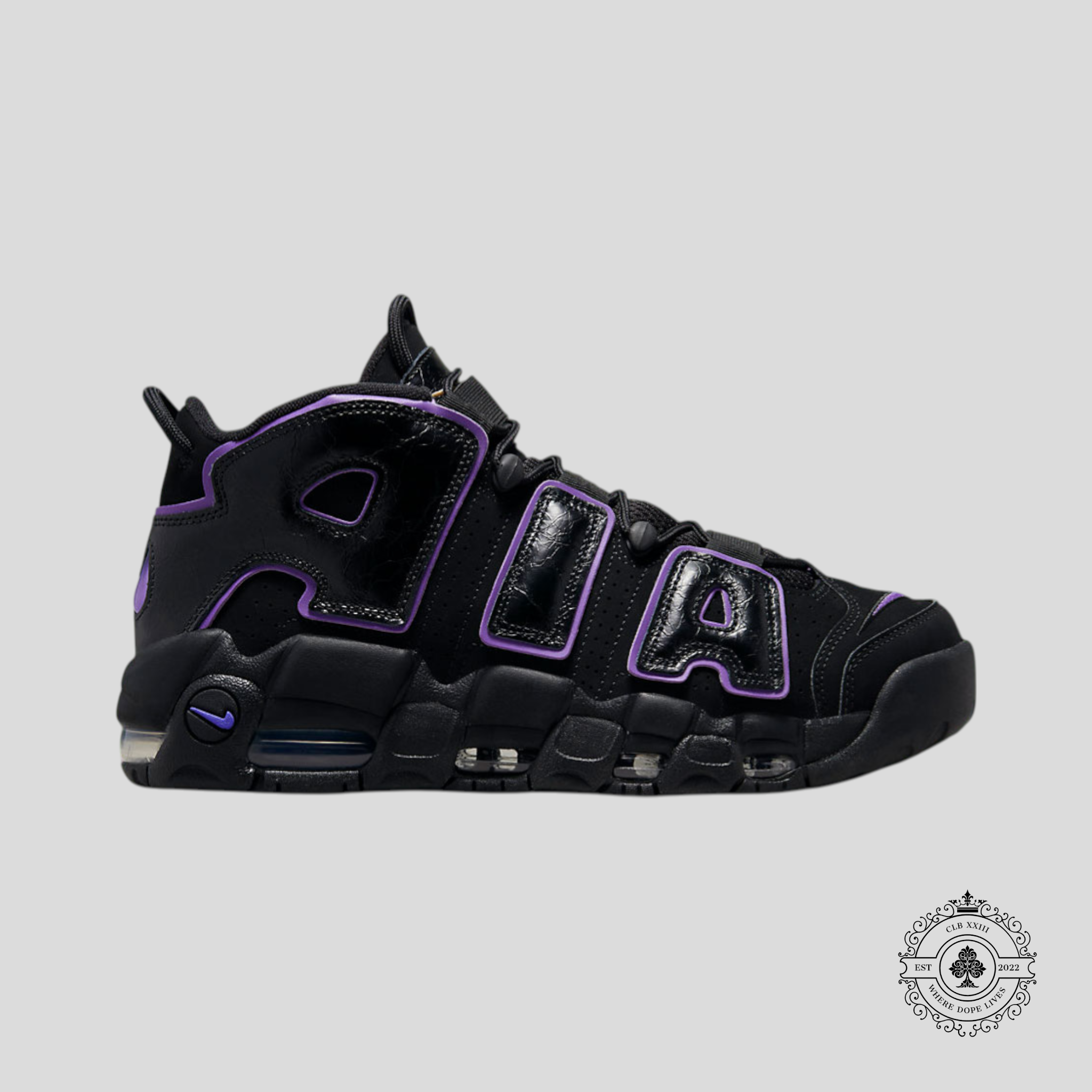 Nike Air More Uptempo 96 Action Grape