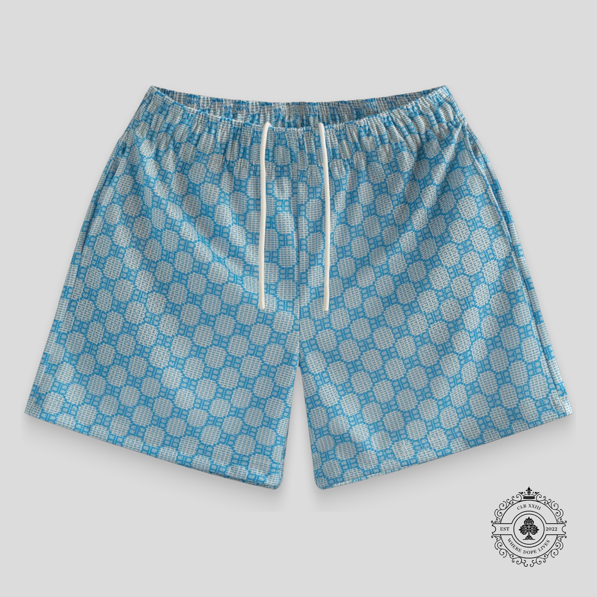 Bravest Studios Matrix Shorts in Seafoam