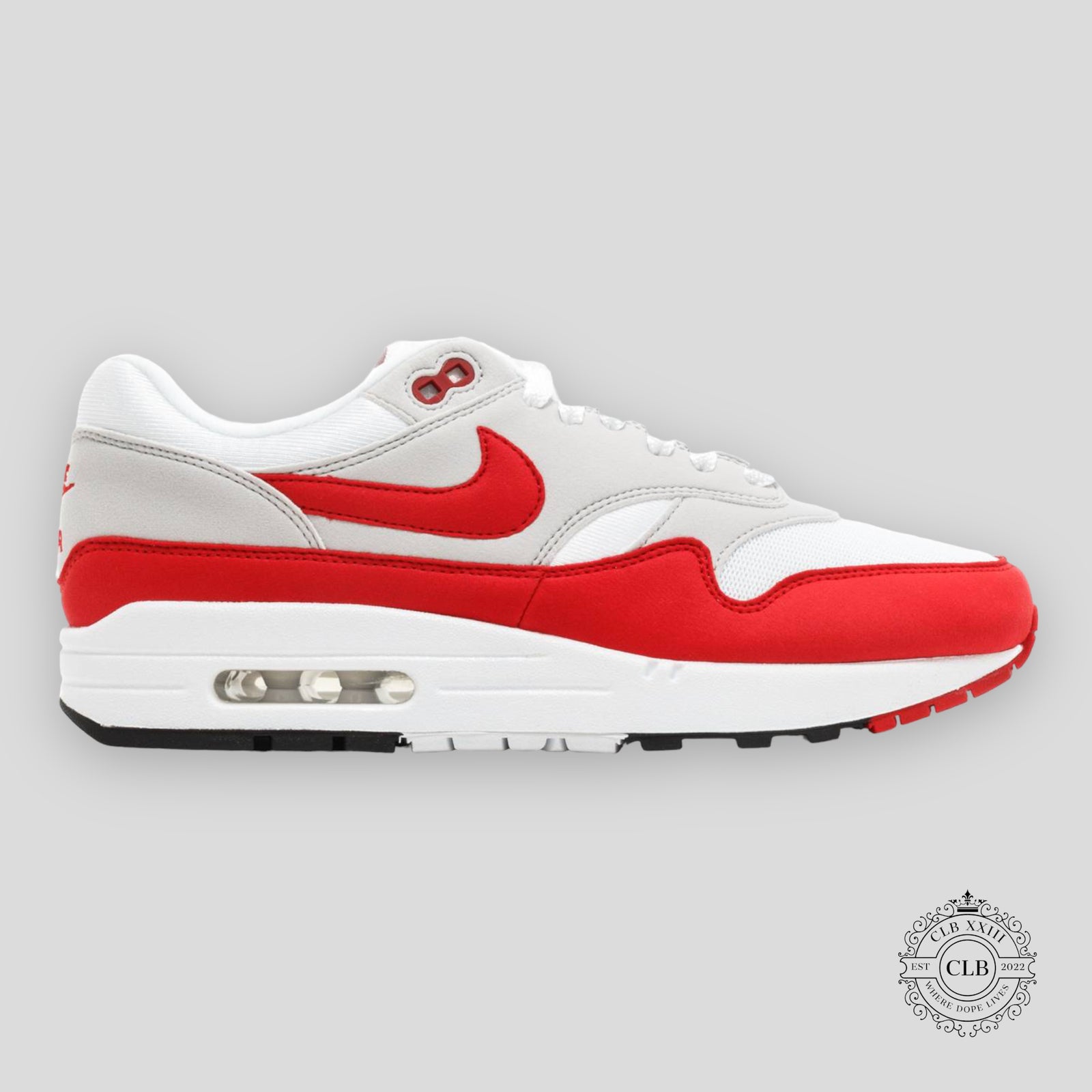 Nike Air Max 1 Anniversary Red