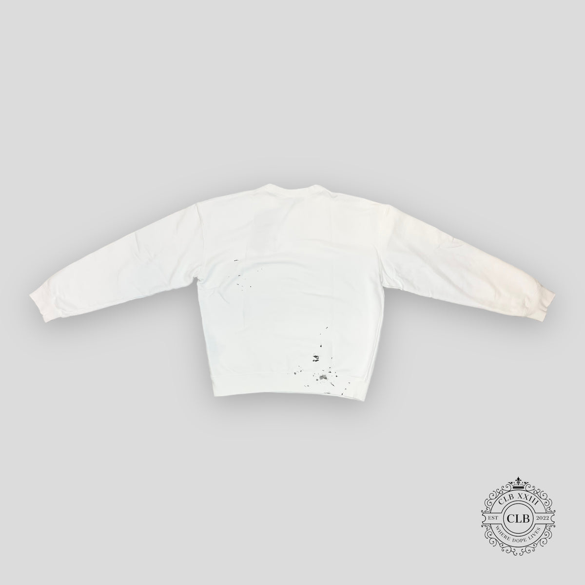 Dior Cactus Jack Oversized Embroidered Sweatshirt in White