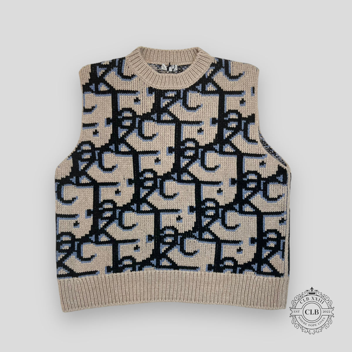 DIOR CACTUS JACK OBLIQUE KNIT VEST- BEIGE