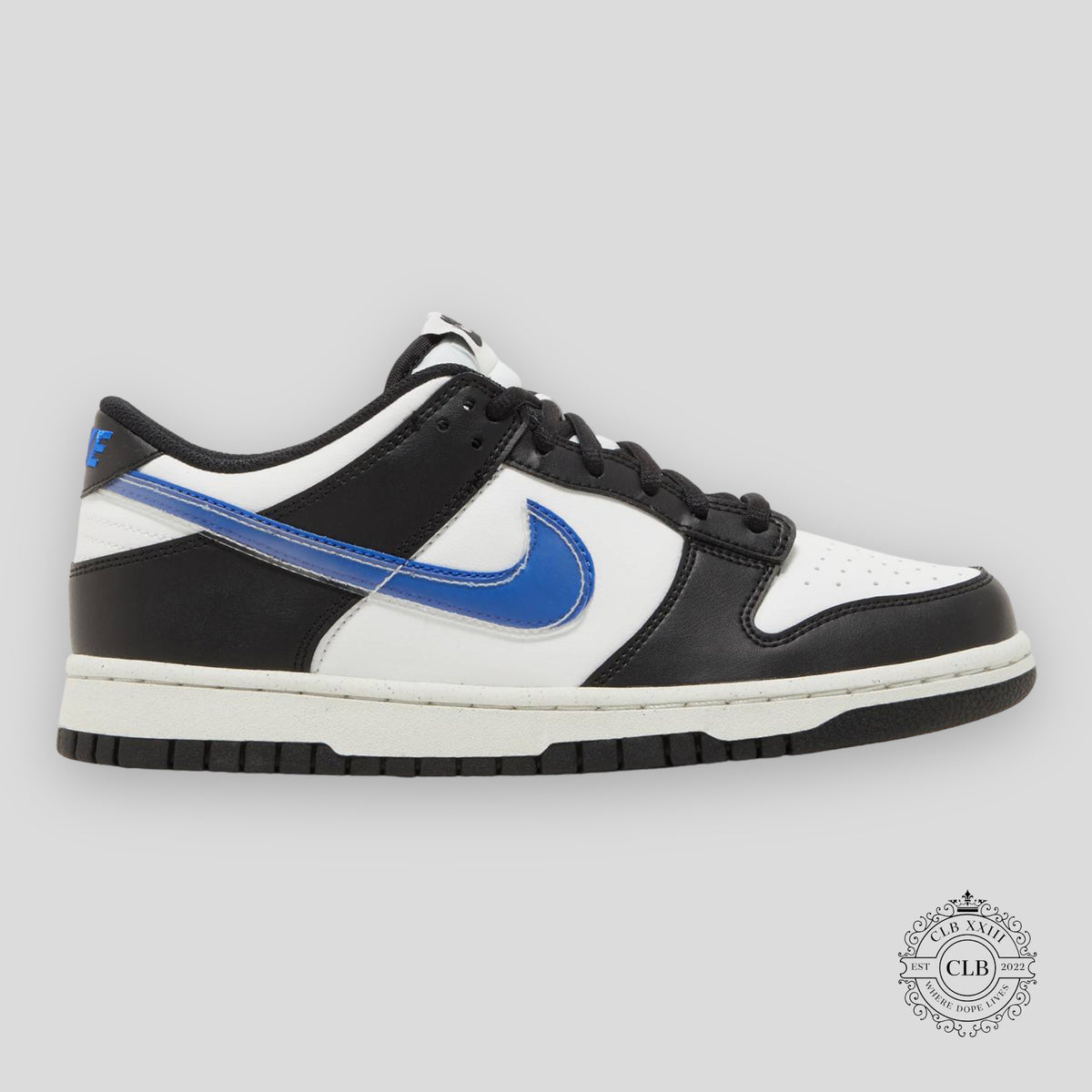 NIKE DUNK LOW NEXT NATURE (GS) "TPU SWOOSH"