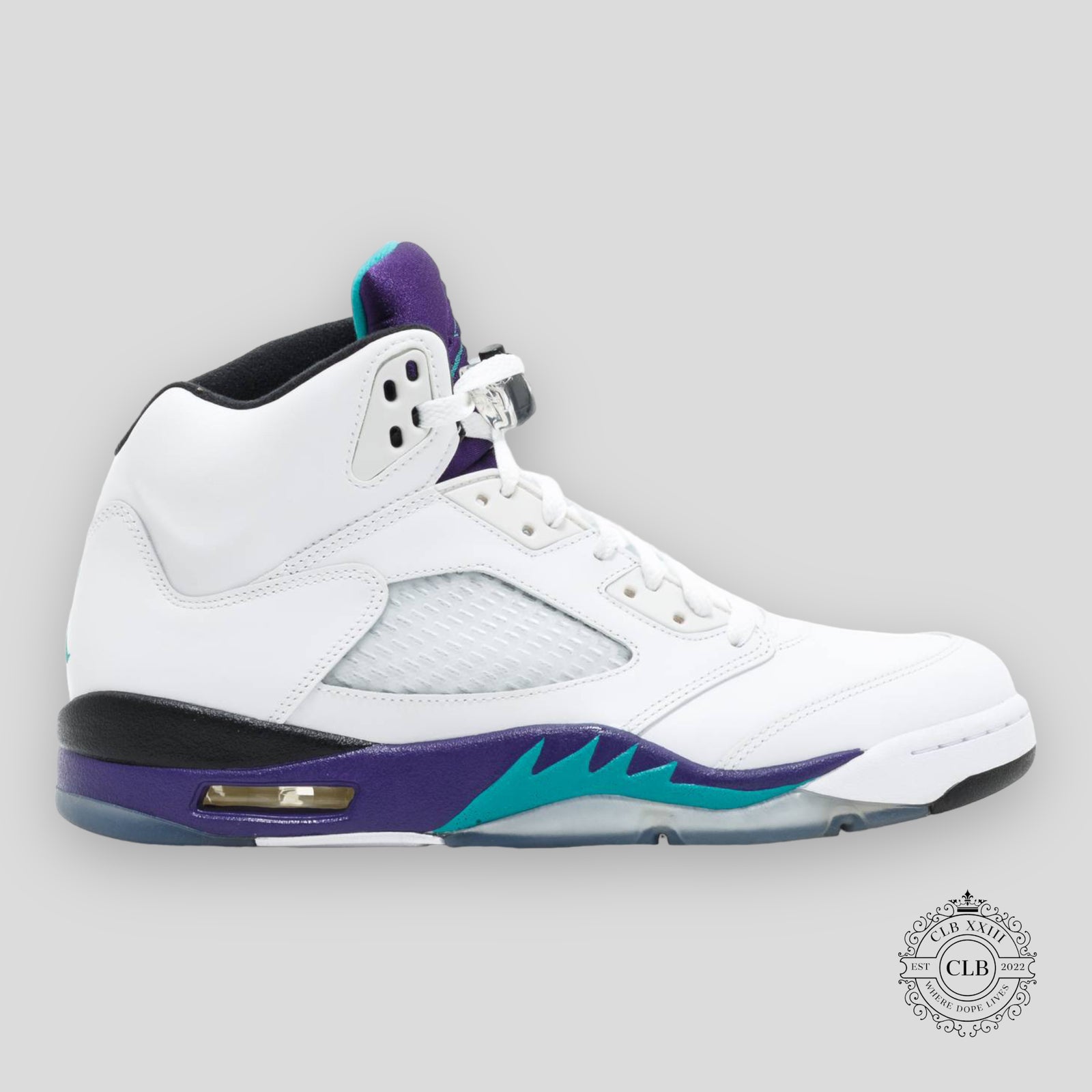 Air Jordan 5 Retro Grape