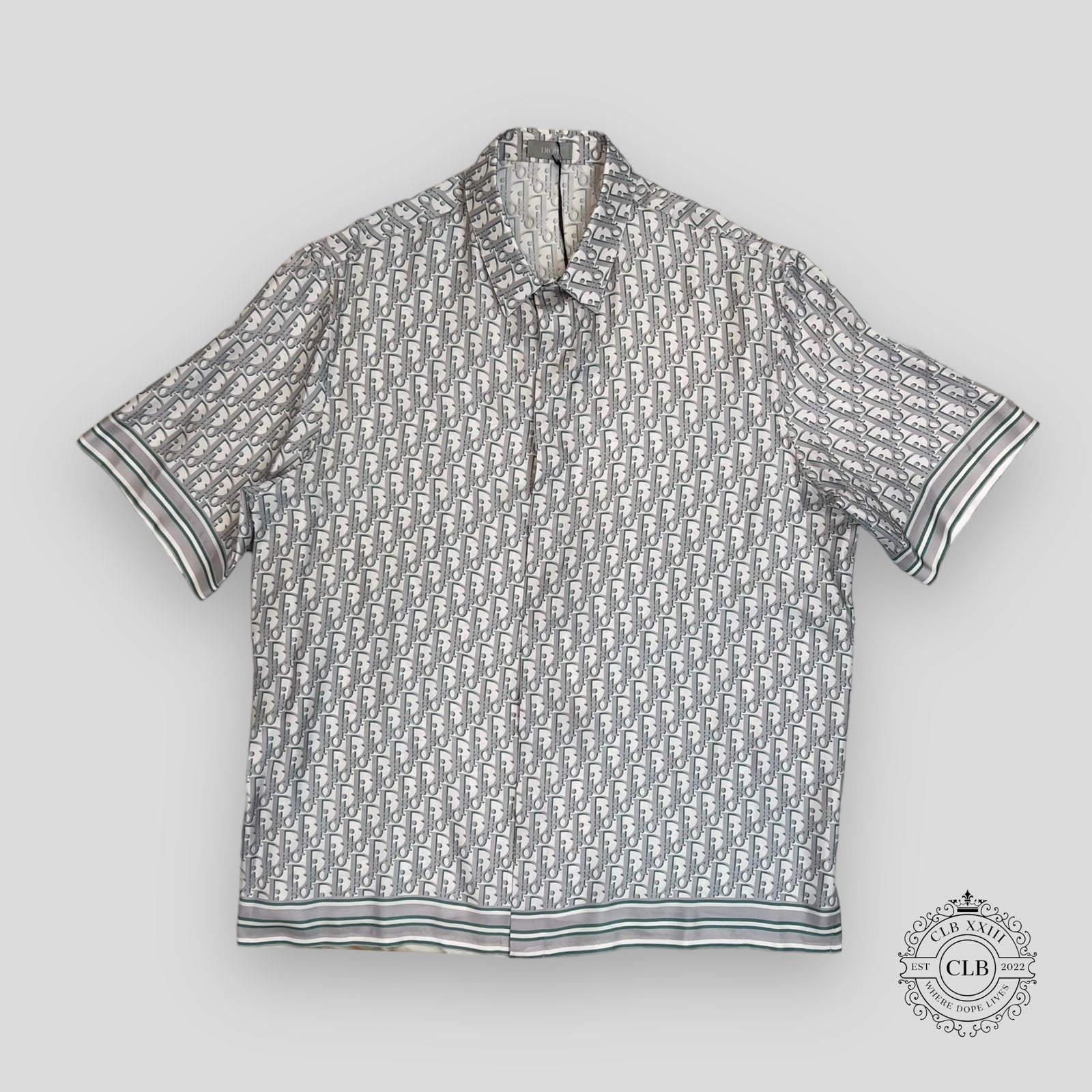Dior Oblique Silk Button Up Shirt in Light Blue