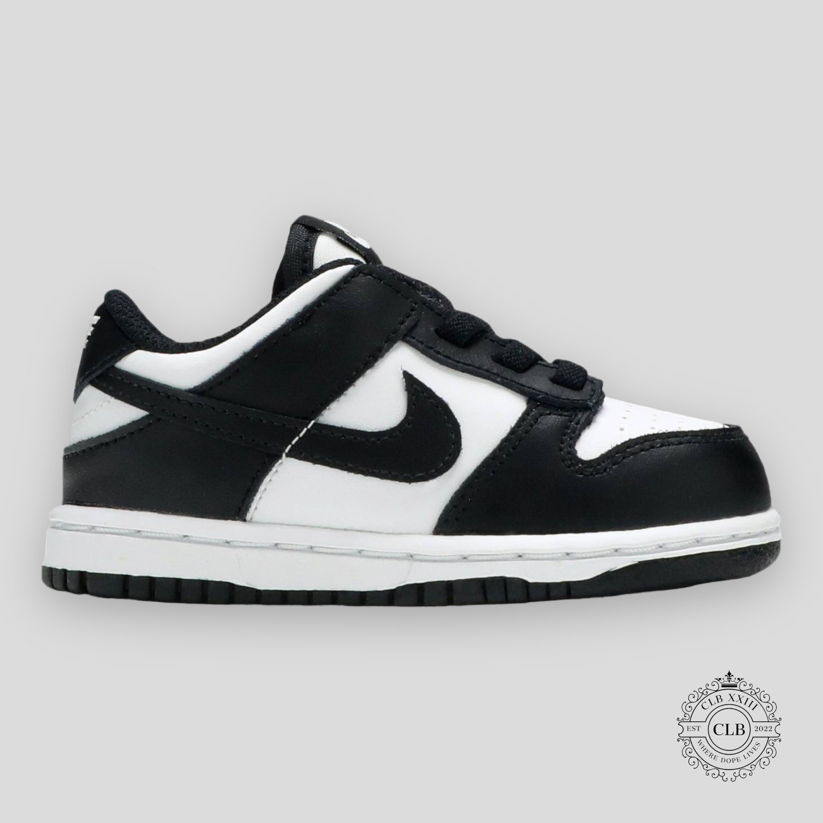 Nike Dunk Low TD Panda