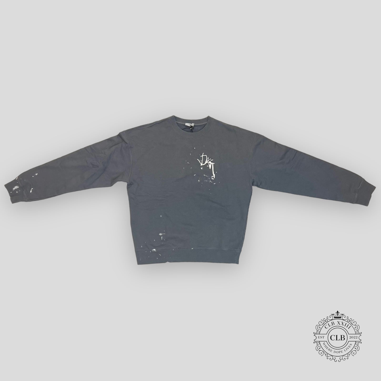 Dior Cactus Jack Oversized Embroidered Crewneck in Grey