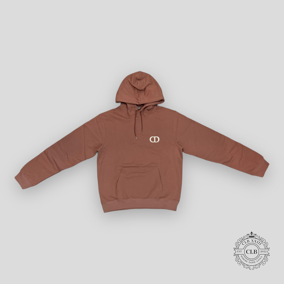 Dior CD Icon Hoodie in Metal Pink