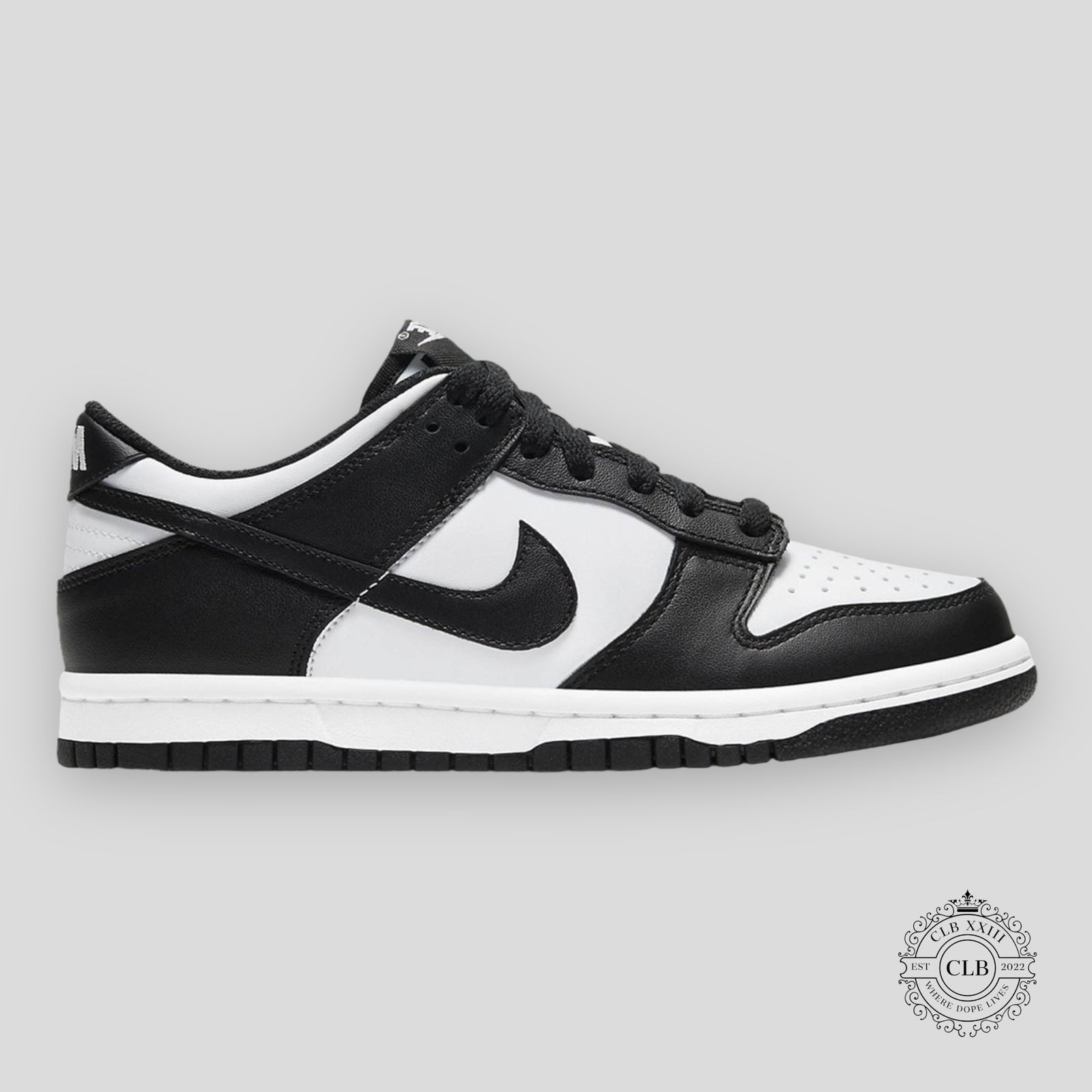 Nike Dunk Low GS Panda