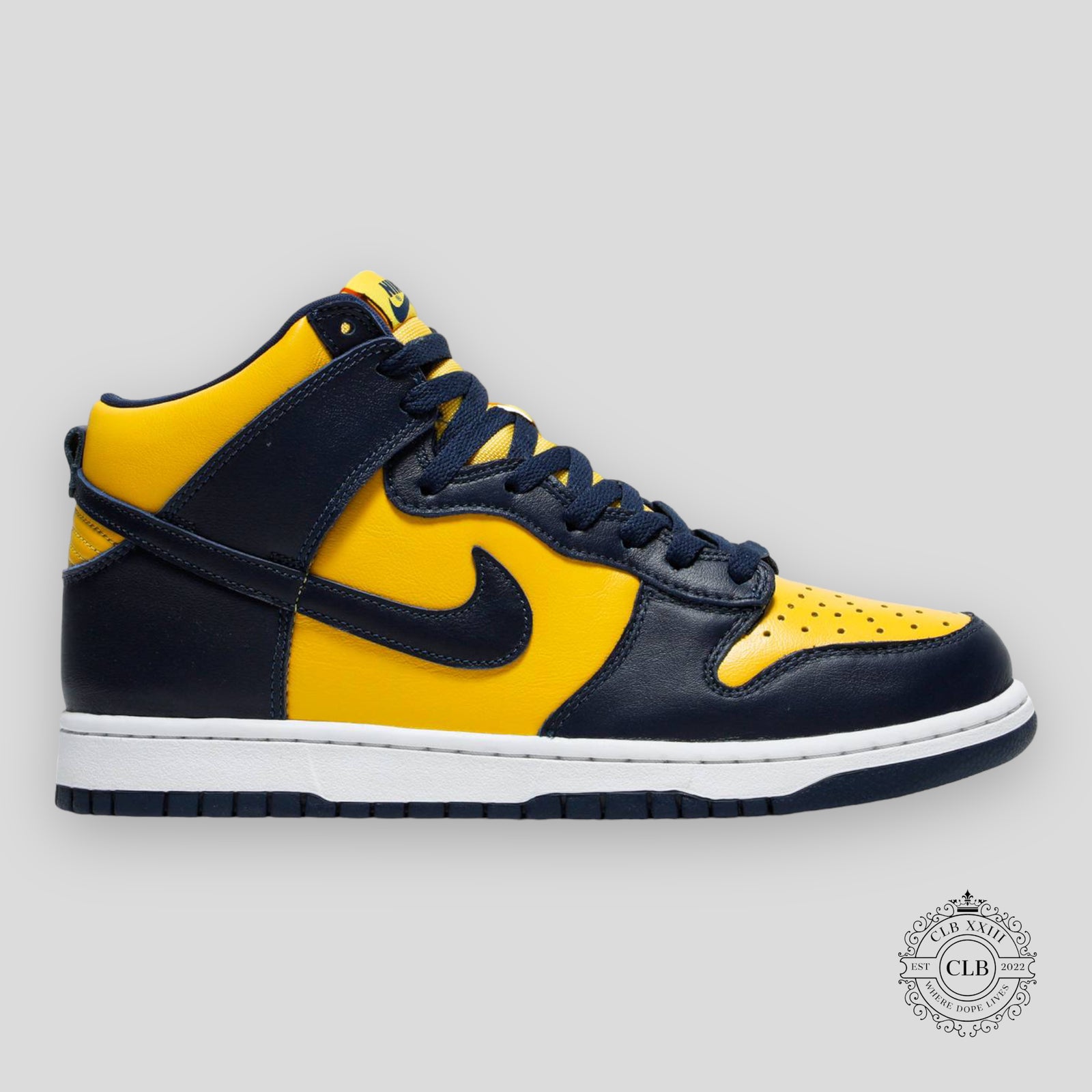 NIKE DUNK HIGH "MICHIGAN"