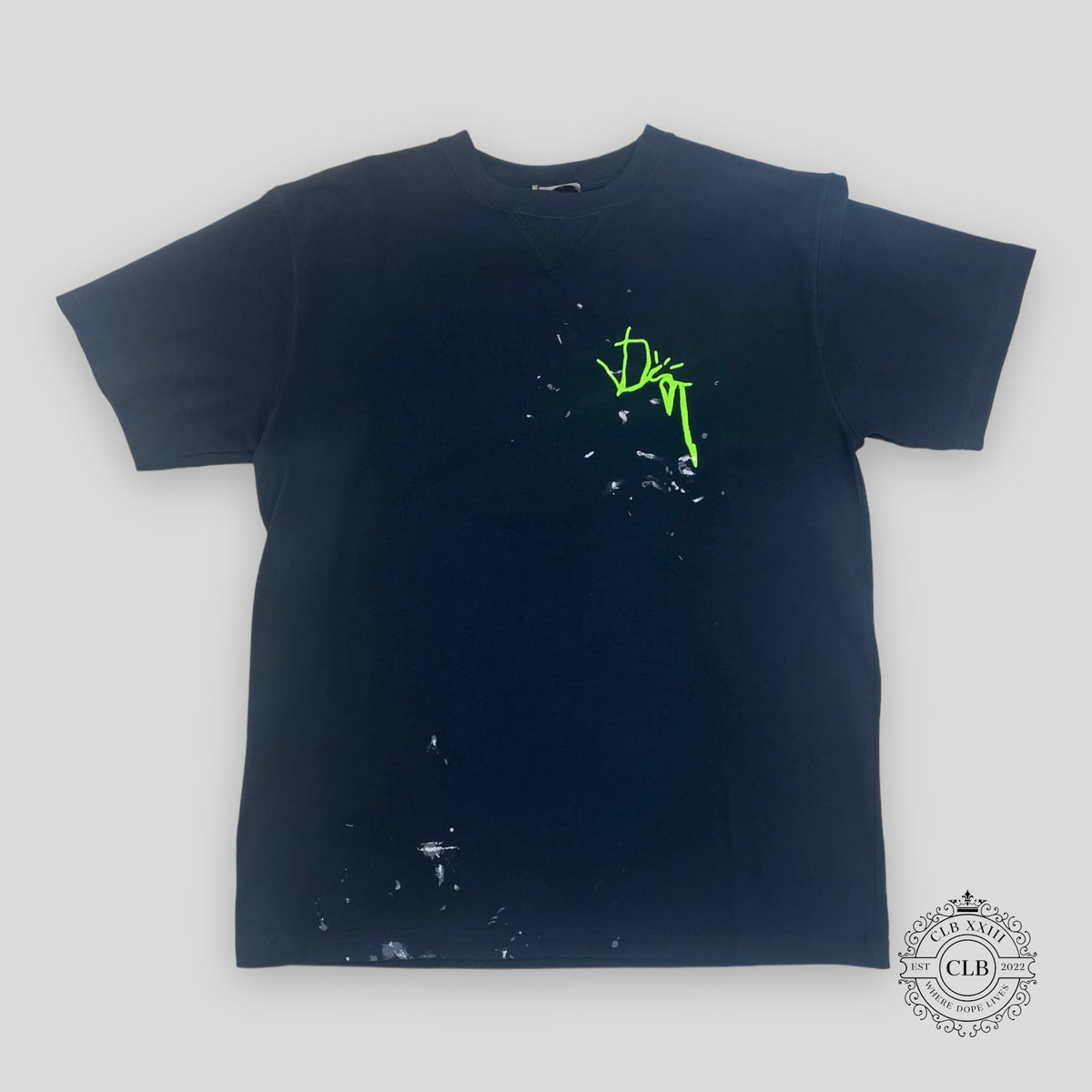 Dior Cactus Jack Embroidered Tee in Navy/Green