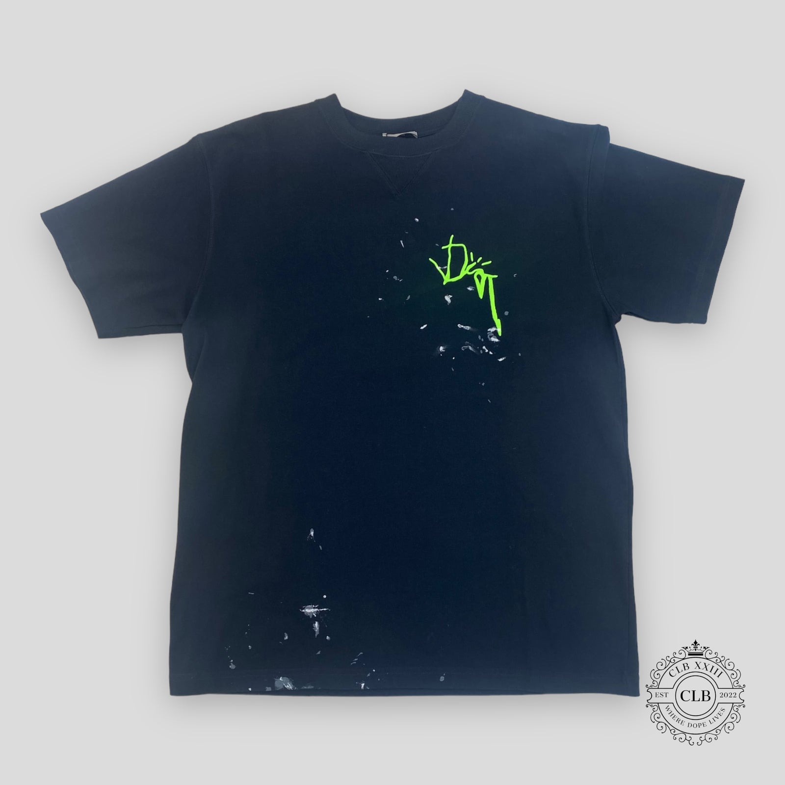 Dior Cactus Jack Embroidered Tee in Navy/Green