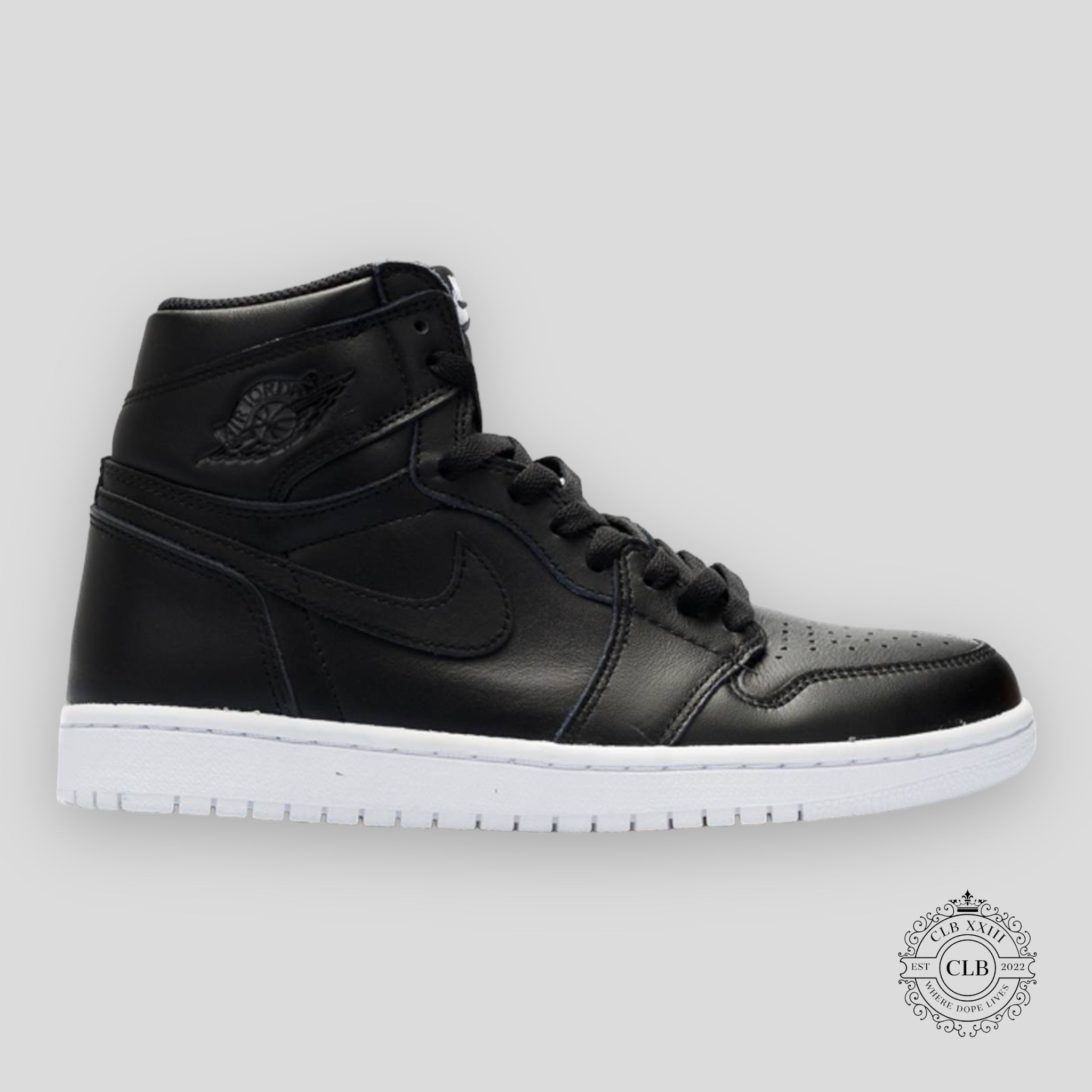 AIR JORDAN 1 RETRO HIGH OG "CYBER MONDAY"