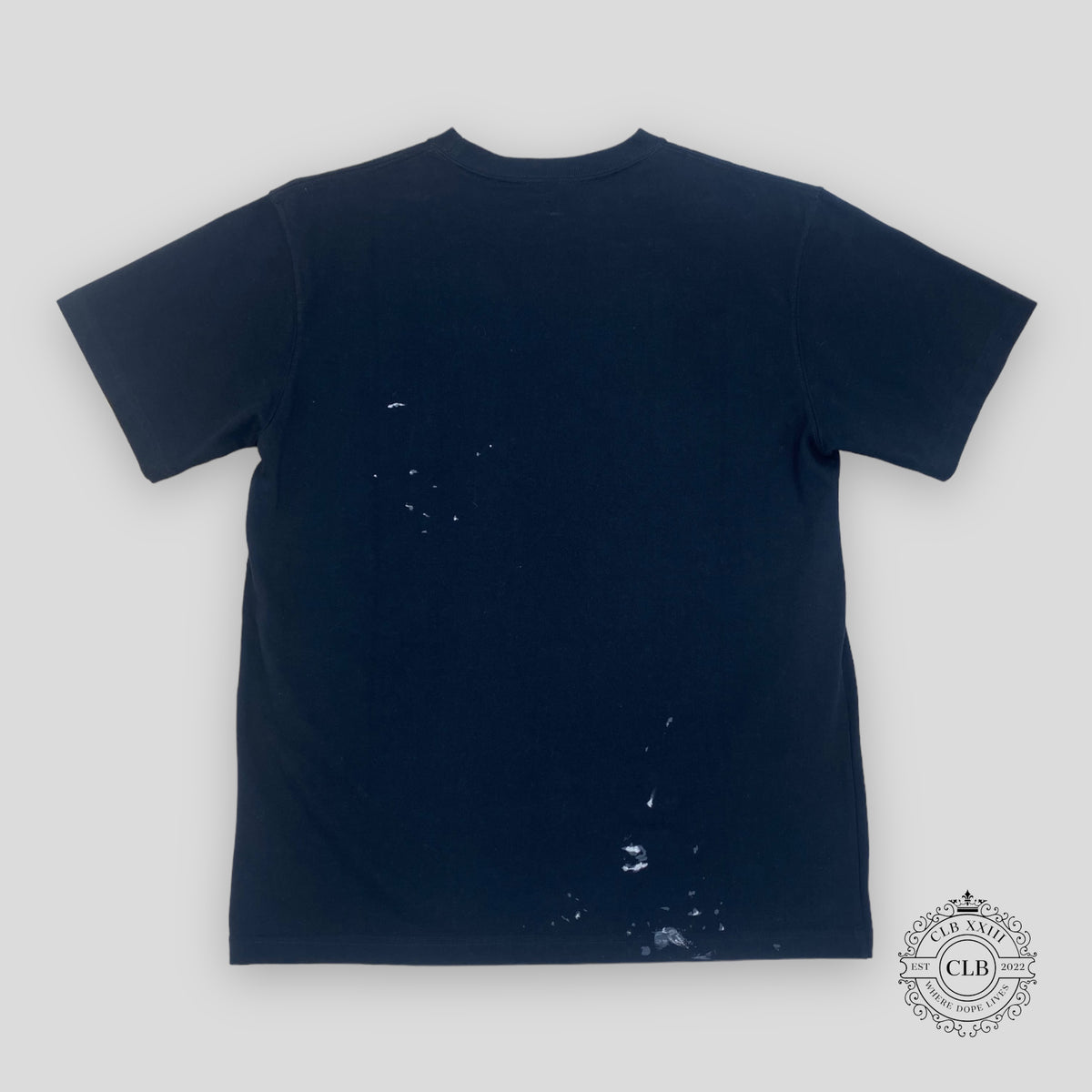 Dior Cactus Jack Embroidered Tee in Navy/Green