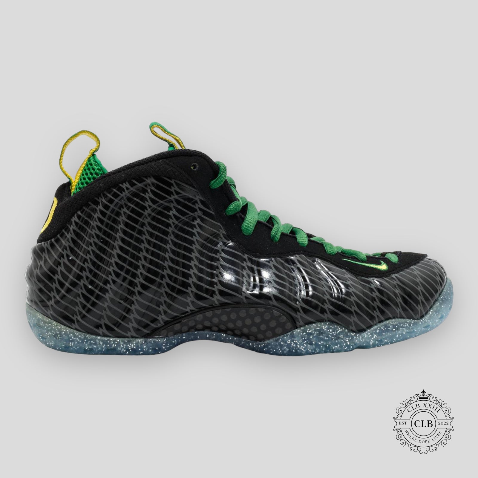 Nike Air Foamposite One Oregon Ducks