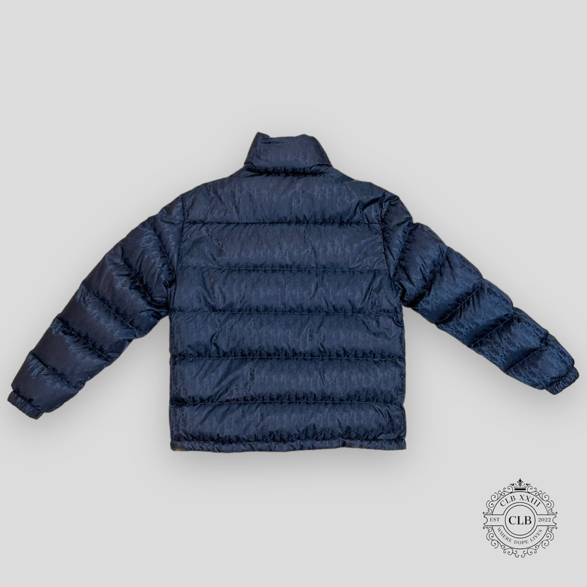 Dior Oblique Down Jacket in Navy Blue
