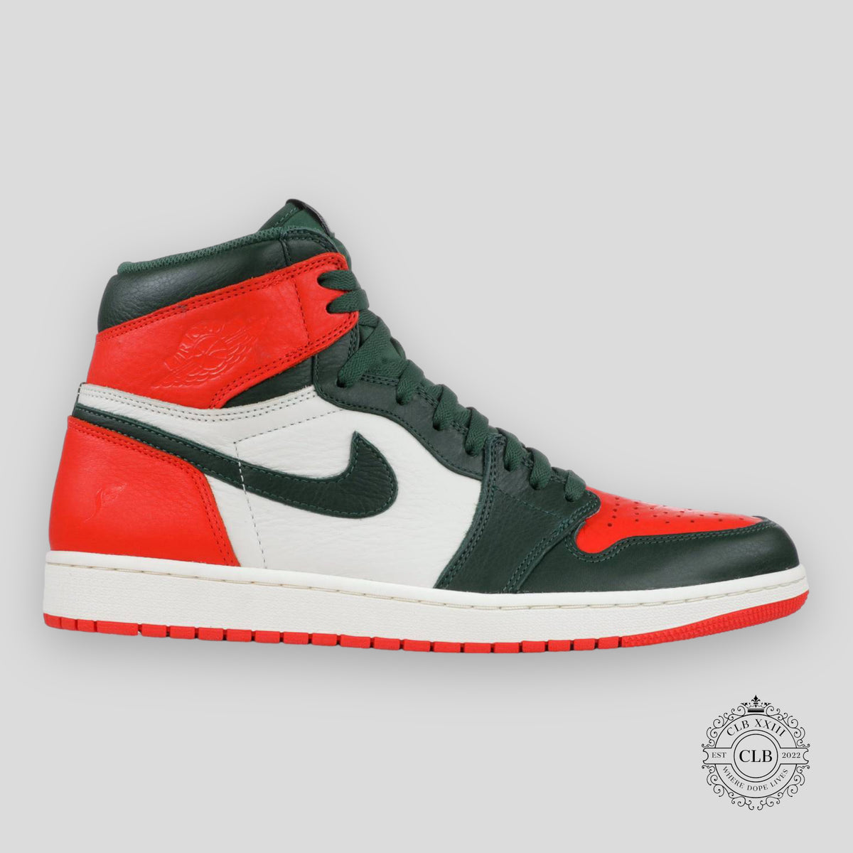 AIR JORDAN 1 RETRO HIGH OG X SOLEFLY "ART BASEL"