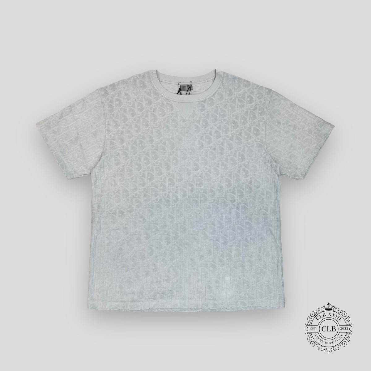 Dior Oblique T-Shirt in Light Blue