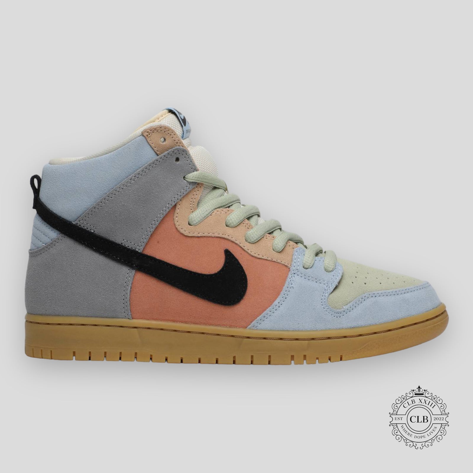 Nike SB Dunk High Spectrum