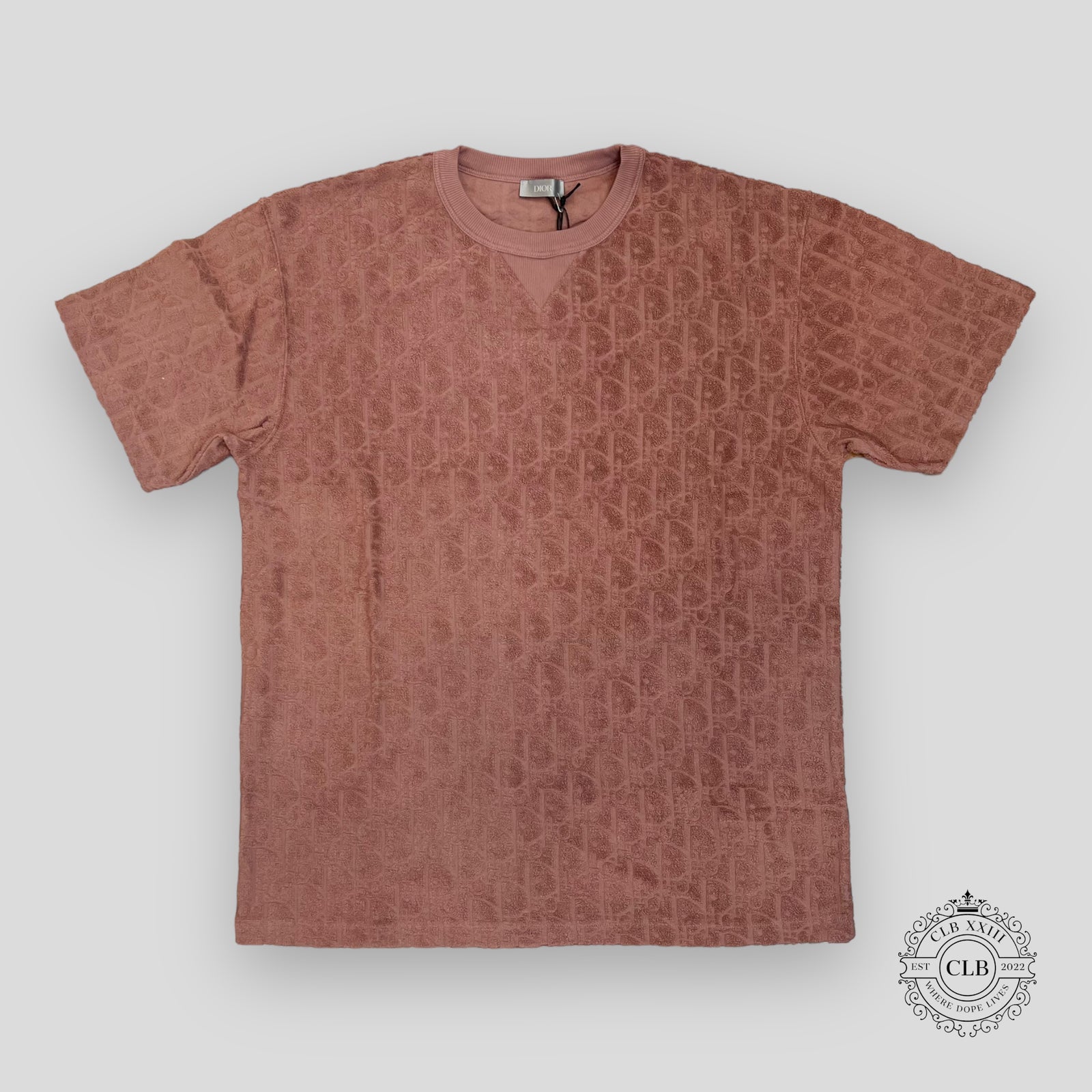 Dior Oblique Terrycloth Tee in Metal Pink