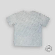 Dior Oblique T-Shirt in Light Blue