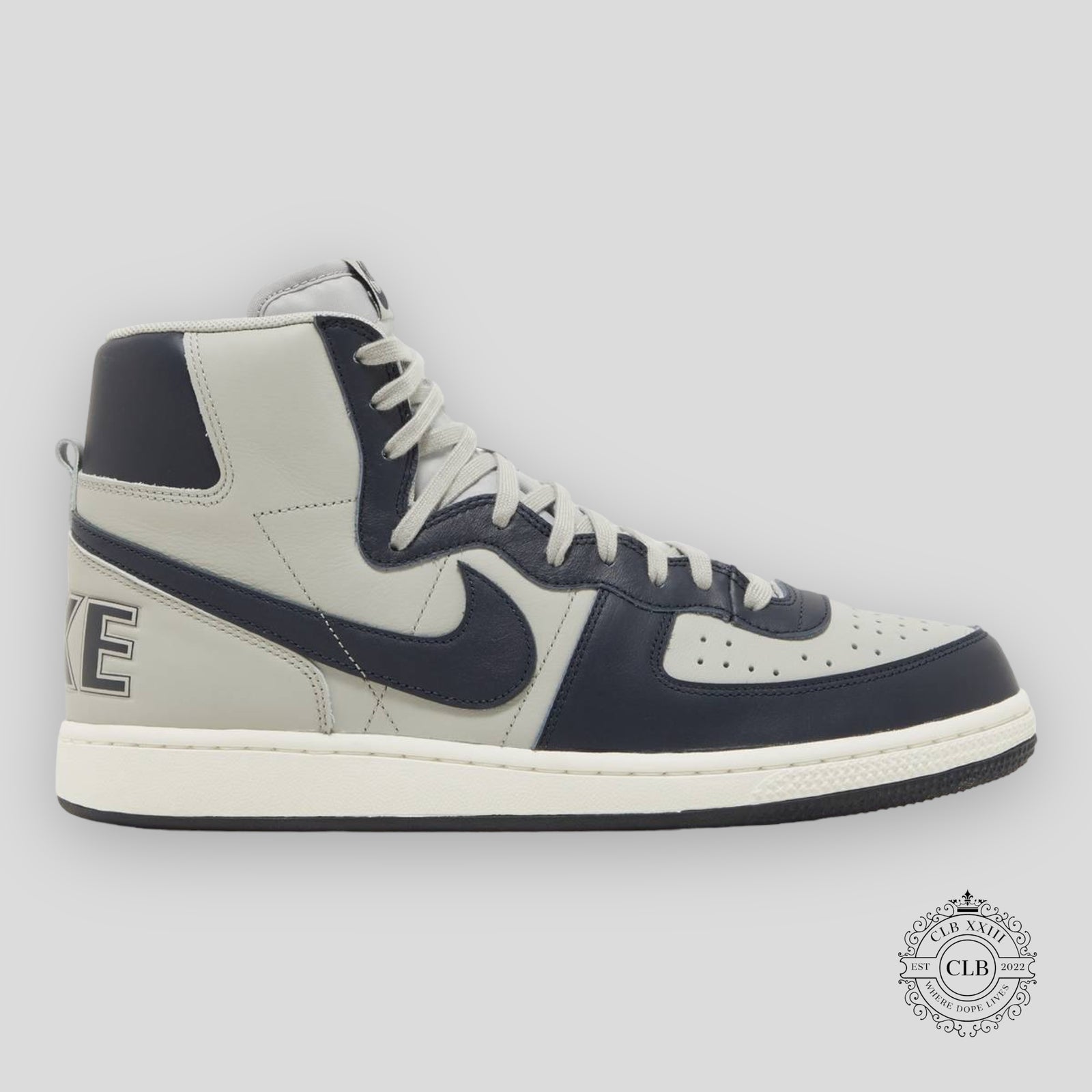 Nike Terminator High Georgetown 2022