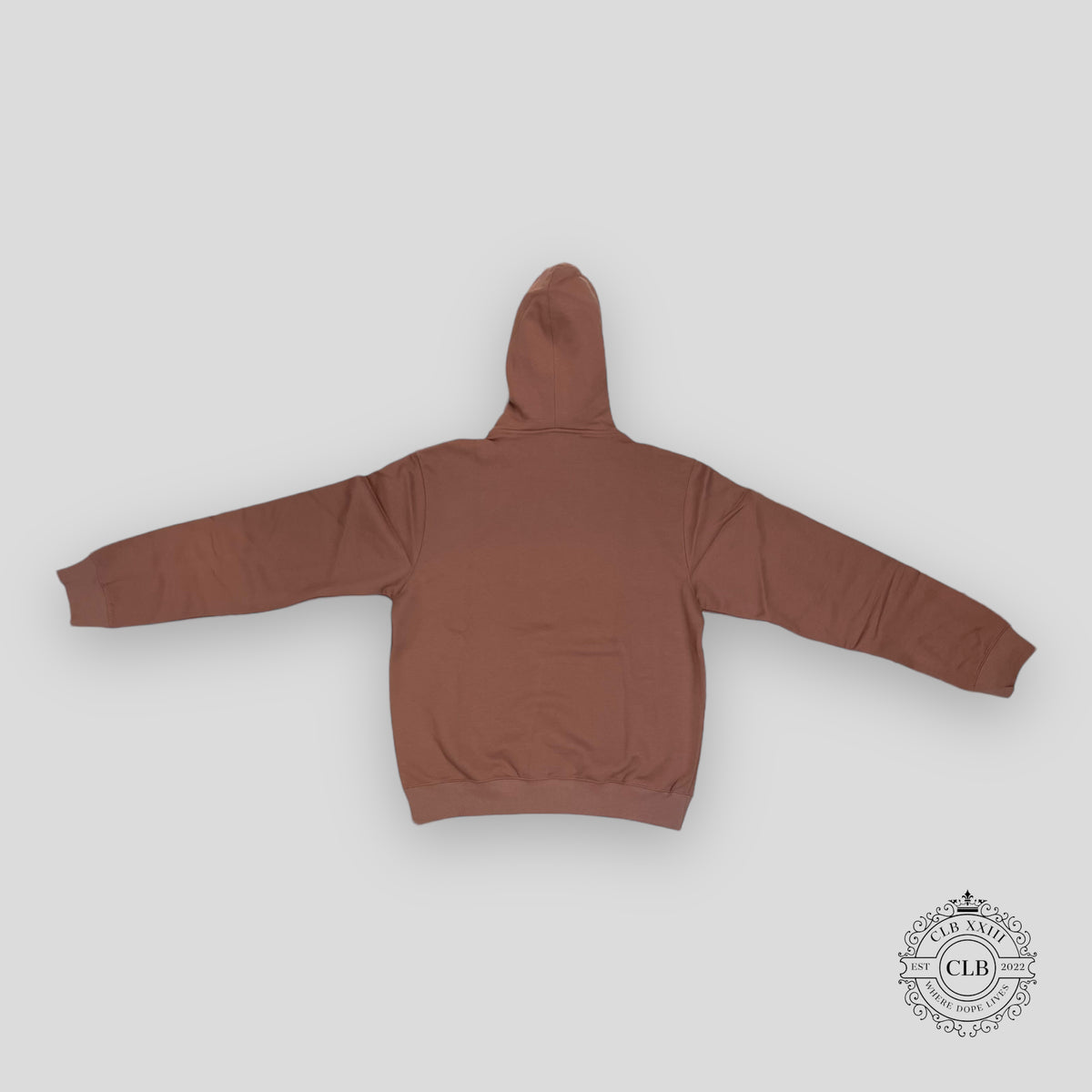 Dior CD Icon Hoodie in Metal Pink
