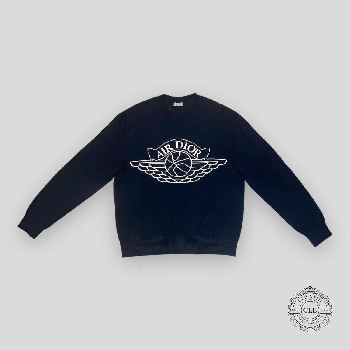 Dior Air Jordan Knit Crewneck in Navy