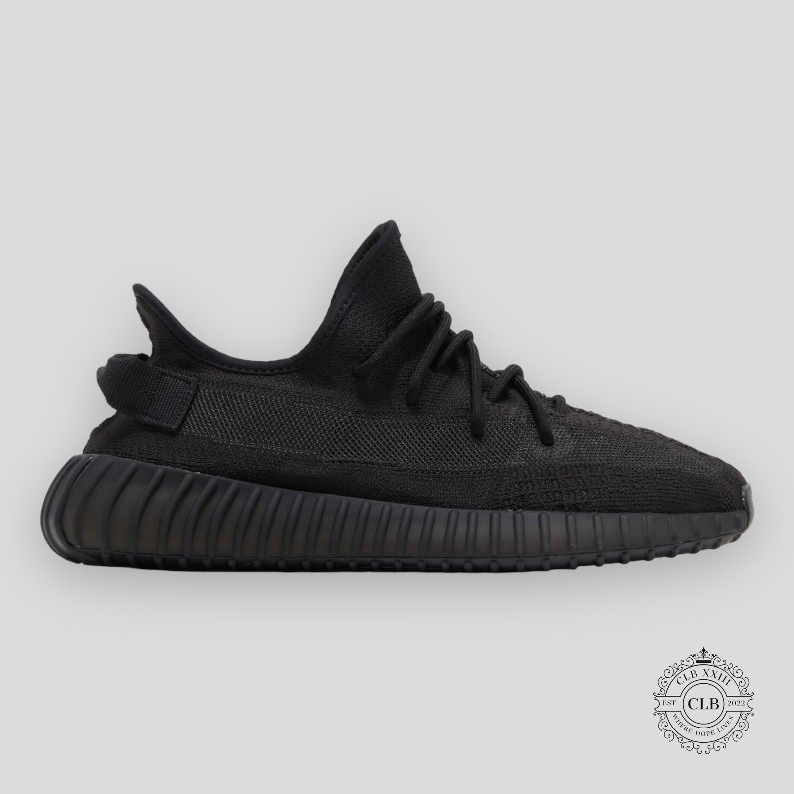 Adidas Yeezy Boost 350 V2 Sneaker in Onyx