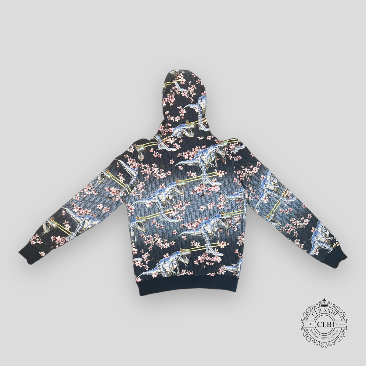 Dior Soroyama Oblique Dinosaur Hoodie in Grey