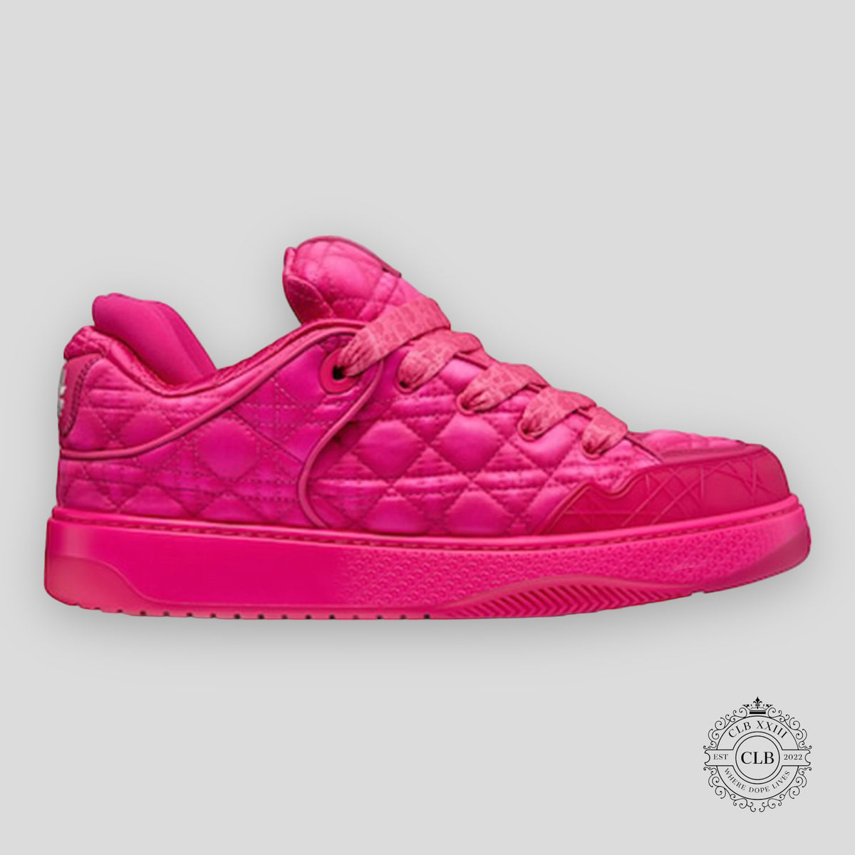 CHRISTIAN DIOR B9S SKATER SNEAKER “PINK QUILTED”